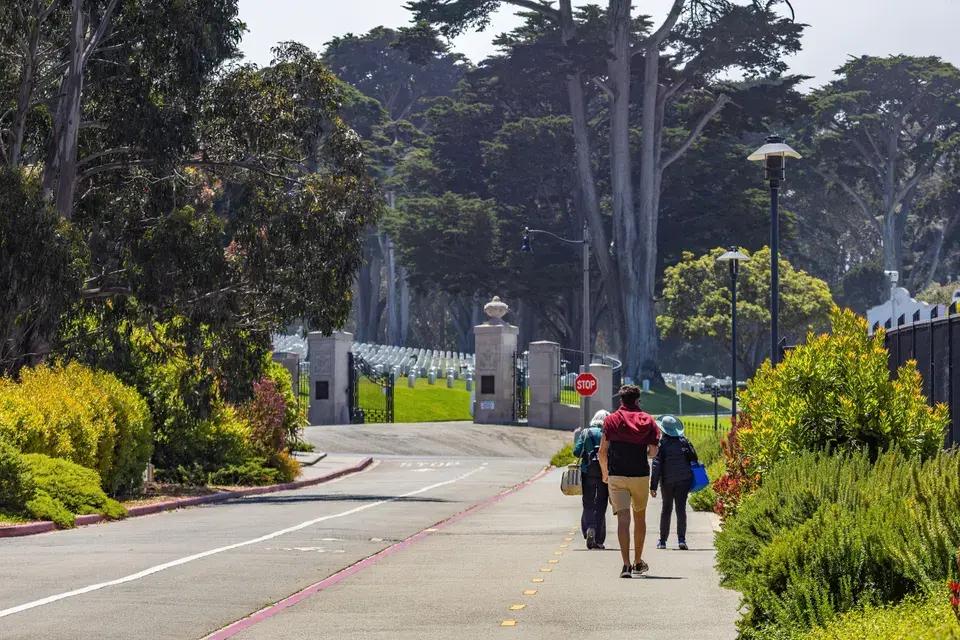 Local Expertise for Monte Sereno's Unique Homes — Monte Sereno, CA