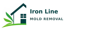 Iron Line Mold Removal